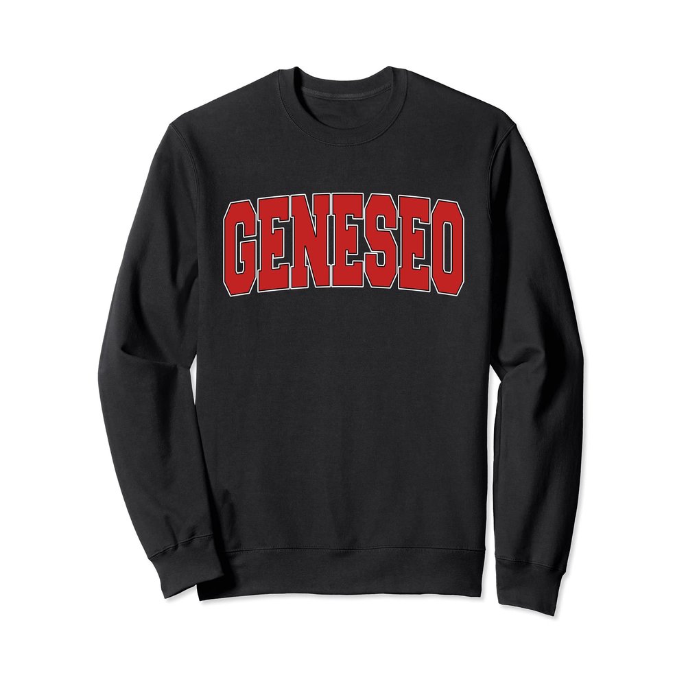 GENESEO NY NEW YORK Varsity Style USA Vintage Sports Sweatshirt