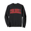 COBLESKILL NY NEW YORK Varsity Style USA Vintage Sports Sweatshirt view 1