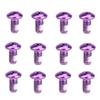 12PCS Bike Disc Brake Rotor Bolts Torx T25 Bolts M5x10mm Bicycle Rotor Screws for Road MTB Mountain Bike, Purple view 1