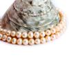 Natural 5-6mm Nearly Round White Pink Purple Gray Black Multi Feshwater Pearl Jewelry Loose Gemstone Beads Strand 14" Natural Stone for Necklace Bracelet DIY Design (Pink) view 2