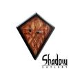 Viking Axe of Ragnar Lothbrok - Historical Replica (Wood Grain) view 2