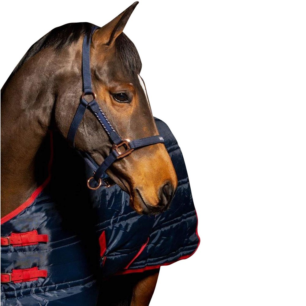 John Whitaker Bradshaw Horse Halter (Pony) (Navy)