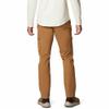 Columbia Men's Pacific Ridge Cargo Pant, Delta, 42 view 2