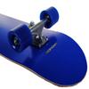 Shop4Omni Complete Full Size Maple Skateboard w Premium Wheels & Matching Grip Tape (Blue) view 3