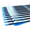TIGER ARCHERY 30Inch Carbon Arrow Practice Hunting Arrows with Removable Tips for Compound & Recurve Bow(Pack of 12) (Blue White) view 4