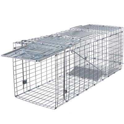 ANT MARCH Live Animal Cage Trap 32''x11.5"x13" Steel Humane Release Rodent Cage Iron Door for Rabbits, Stray Cat, Squirrel, Raccoon, Mole, Gopher, Opossum, Skunk, Chipmunks, Groundhog