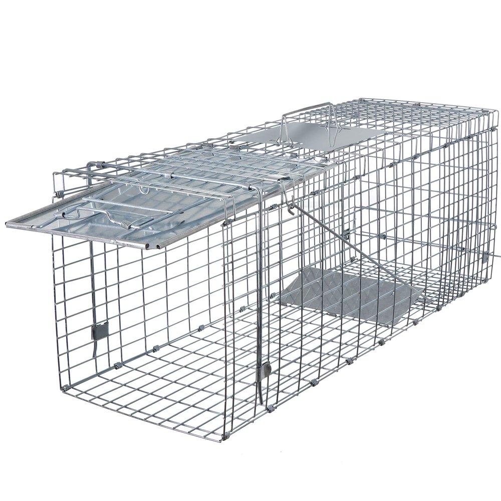 ANT MARCH Live Animal Cage Trap 32''x11.5"x13" Steel Humane Release Rodent Cage Iron Door for Rabbits, Stray Cat, Squirrel, Raccoon, Mole, Gopher, Opossum, Skunk, Chipmunks, Groundhog