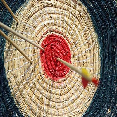 Bull's Eye Middle Archery Disc Arrow Target-20 Inch by 30 Inch Laminated Poster with Bright Colors and Vivid Imagery-Fits Perfectly in Many Attractive Frames