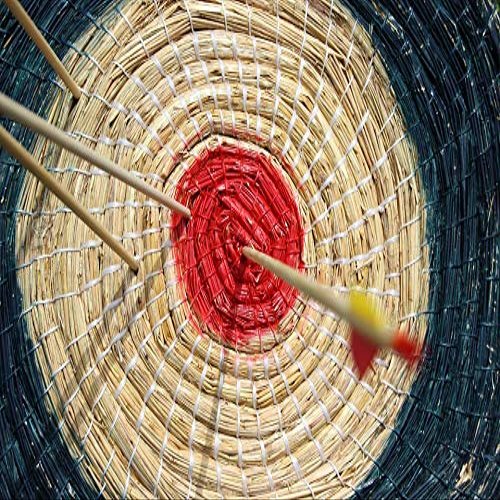 Bull's Eye Middle Archery Disc Arrow Target-20 Inch by 30 Inch Laminated Poster with Bright Colors and Vivid Imagery-Fits Perfectly in Many Attractive Frames