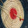 Bull's Eye Middle Archery Disc Arrow Target-20 Inch by 30 Inch Laminated Poster with Bright Colors and Vivid Imagery-Fits Perfectly in Many Attractive Frames view 1