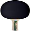 Schildkrt Donic Legends 400 FSC Table Tennis Bat, 1.6 mm Sponge, FSC Wood, Jade - ITTF Rubber, 705241 view 2