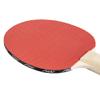 STIGA Classic 2-4 Player Ping Pong Paddle Sets, Red and Black, Three 1-Star ITTF Regulation Size Balls - Perfect for Family Play view 3
