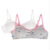 Bra with Removable Cookies view 1