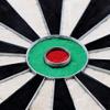 CUESOUL Shooter-II TRI-Eyes Official Size Sisal Bristle Dartboard Set with Extra Steel Tip Darts 6 Pack Without Surround. view 4