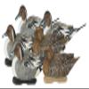 Avery GHG Greenhead Gear Pro Grade XD Series Pintail Duck Decoys - Harvester 6-Pack view 1
