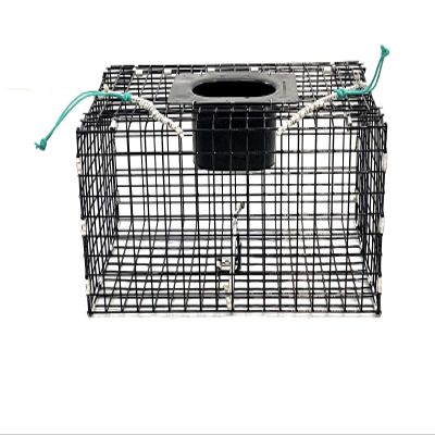Ketcham Supply PVC Coated Wire Mesh Green Crab Trap (3)