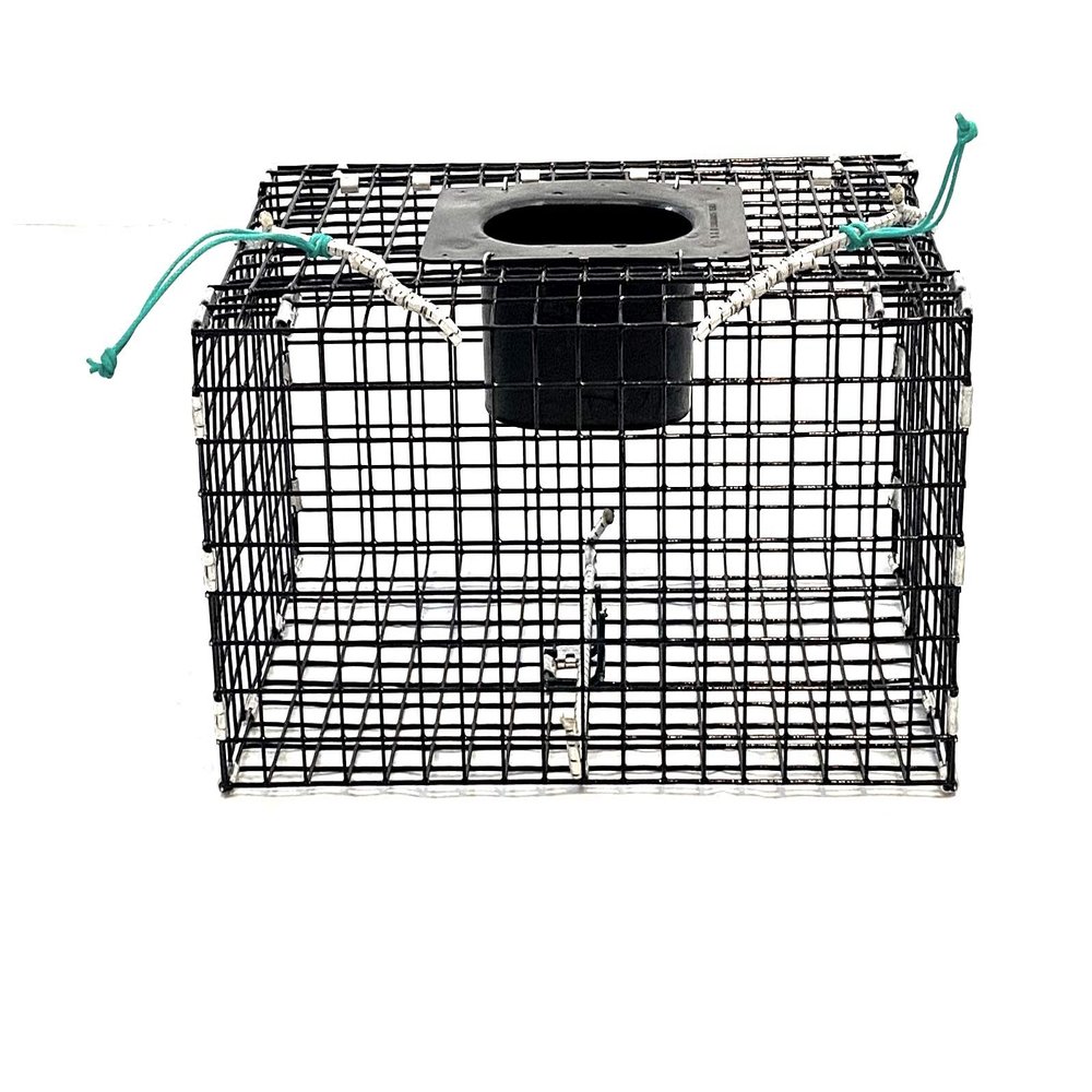 Ketcham Supply PVC Coated Wire Mesh Green Crab Trap (3)