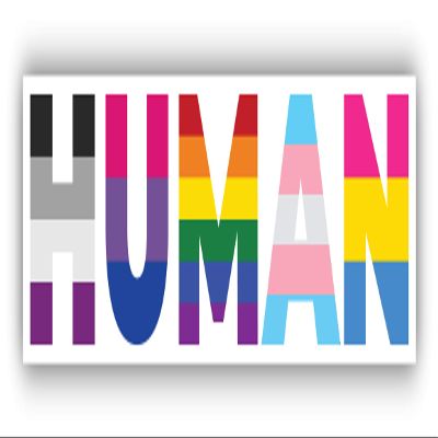 Human Various Queer Flags Vinyl Sticker Decal