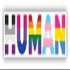 Human Various Queer Flags Vinyl Sticker Decal view 1
