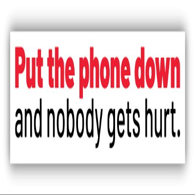 Put The Phone Down Vinyl Sticker Decal