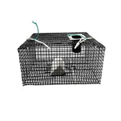 Ketcham Supply PVC Coated Wire Mesh Commercial Green Crab