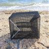 Ketcham Supply PVC Coated Wire EEL Trap Pot view 4
