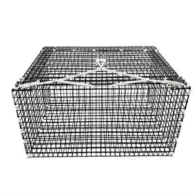 Ketcham Supply PVC Coated Wire Mesh Lobster Holding Car Cage