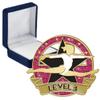 Gym Glitter Level 3 Pins, Gym Glitter Level 3 Pin With Blue Velvet Presentation Case, 100 Pack view 1