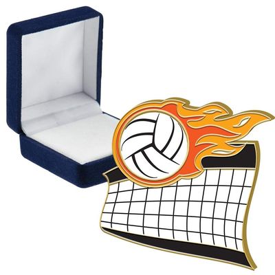Volleyball Pins, Volleyball Pin With Blue Velvet Presentation Case, 50 Pack
