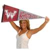 Washington State Cougars Pennant Throwback Vintage Banner view 4