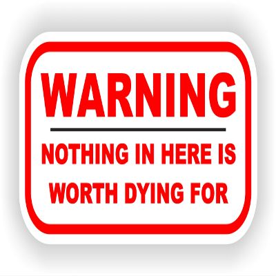 1x Nothing In Here Is Worth Dying For Funny Warning Vinyl Waterproof Sticker - 30cm / 11.8inches