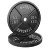 Synergee Standard Metal Weight Plates 45 lb Pair. 2 Opening for Bodybuilding, Olympic & Power lifting workouts. Classic Old School Metal Weighted Plates. view 1