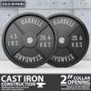 Synergee Standard Metal Weight Plates 45 lb Pair. 2 Opening for Bodybuilding, Olympic & Power lifting workouts. Classic Old School Metal Weighted Plates. view 2
