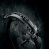 SKS Germany Mudrocker Rear Fender view 4