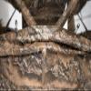 BOG Prevail Sitting Height Ground Blind Realtree with StealthZip Silent Zippers, StealthTrac Silent Windows, Water Resistant 600D Fabric, and Pop-Up Hub Construction for Hunting, Shooting, and Outdoor view 4