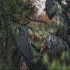 BOG Low Profile Turkey Ground Blind Chair with Rugged Construction, Aluminum Frame, Extended Seat Area, Quiet Setup, Breathable Textilene Fabric, and Carry Bag for Hunting, Shooting, and Outdoors view 4