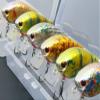 wLure Minnow Crankbait for Bass Fishing Bass Lure Jerkbait Fishing Lure (HC25KB4, with Tackle Box) view 4