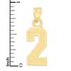 10k Real Solid Gold Athletic Number Pendant for Chain or Necklace, Sports Jewelry Gift for Loved One (2) view 2