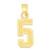 10k Real Solid Gold Athletic Number Pendant for Chain or Necklace, Sports Jewelry Gift for Loved One (5) view 1