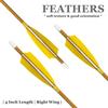 M.SJUMPPER ARCHERY 500 Spine Carbon Arrows with 4 Inch Feathers Fletching for Compound Recurve Bows (12 Pack) view 3
