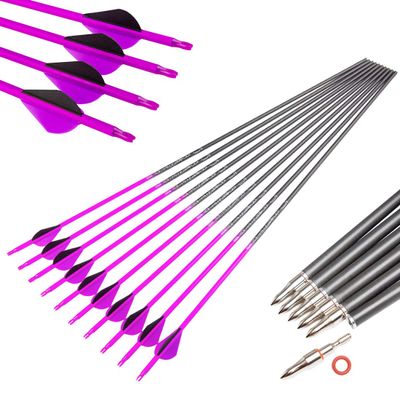 Pinals Archery Hunting 30 inch 400 Spine Arrows for Compound Bows Recurve Longbow Targets Carbon Shafts 12PCS(Purple 400)