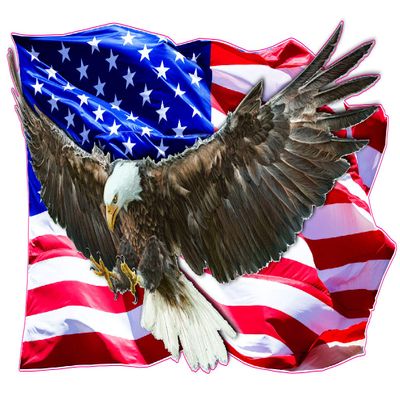 Eagle Clean American Flag Decal from The United States (36" x 24")