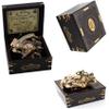US HANDICRAFTS Handmade Brass Astrolabe Sextant with Built-in Compass & Hardwood Box  Vintage Maritime Navigation Instrument, Antique Nautical Decor & Gift for Collectors view 2