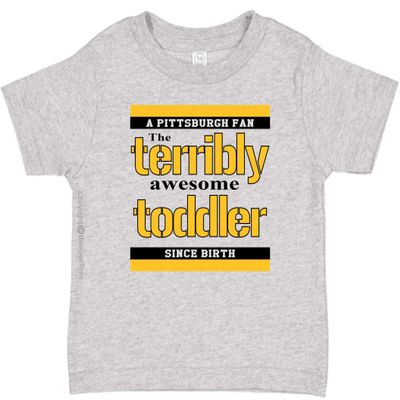 BeeGeeTees Pittsburgh Terribly Awesome Funny Toddler Love Shirt (Boys & Girls) (3T, Gray)