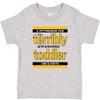 BeeGeeTees Pittsburgh Terribly Awesome Funny Toddler Love Shirt (Boys & Girls) (3T, Gray) view 1