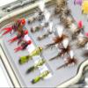 Superbe Flies 36 Favorite Fly Fishing Collection: Dry, Wet, and Nymphs Flies with 6 Tungsten Bead Nymphs view 3