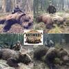 Northwoods Bear Products Bear Attractant Spray- Bacon Spray, Bear Attractant Spray, Bear Can't Resist view 3
