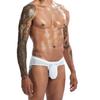 Andongnywell 3 Pack Men's Pure color sexy Underwear Ultra Soft Comfy transparent Briefs Knickers panties trouser (Blue,Large) view 3