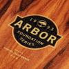 Arbor Cucharon Foundation 32375 Complete Longboard view 4