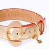MOSHIQA Golden Dog Collar of Loyalty view 2